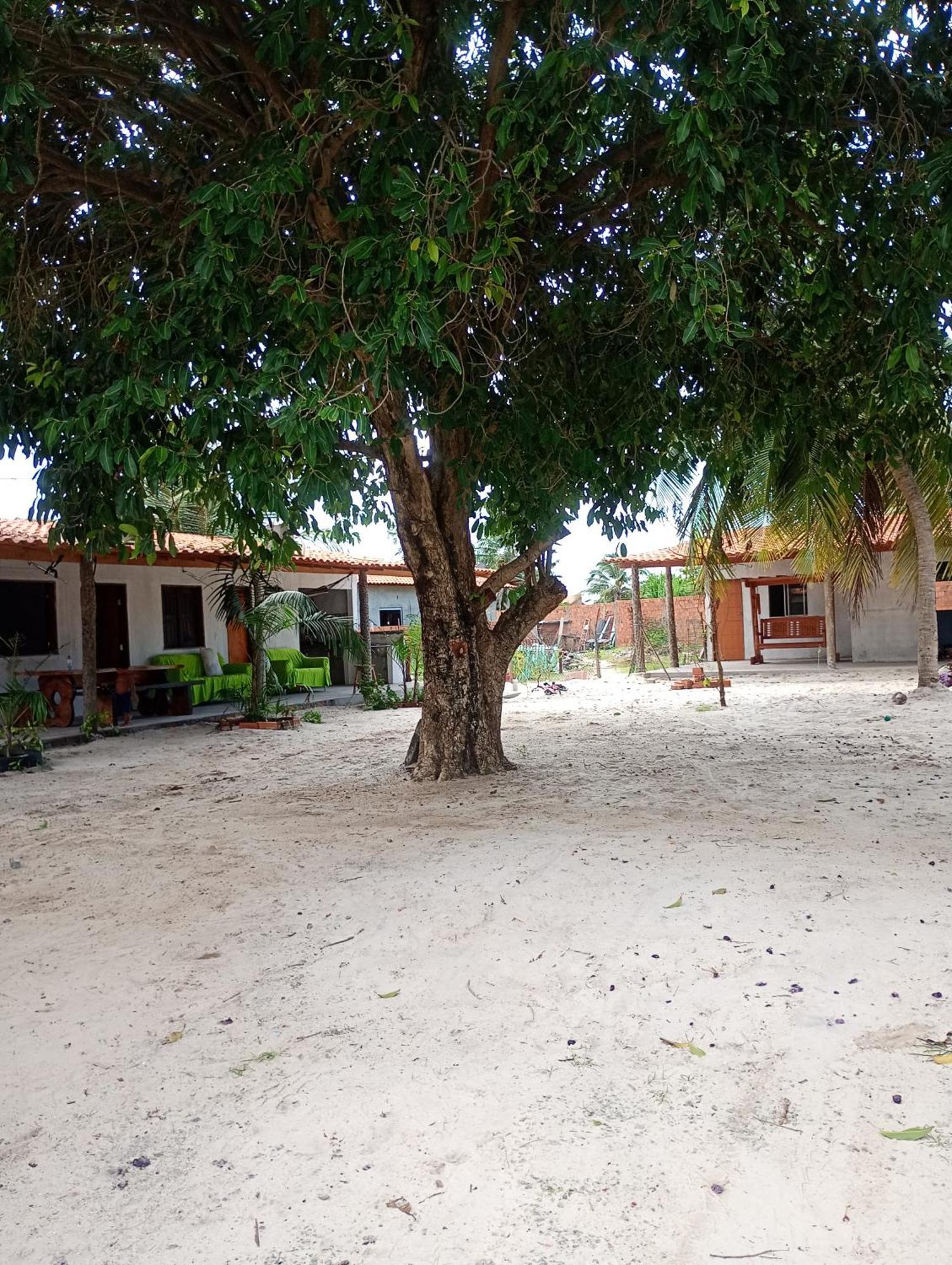 Hostel E Camping Na Rua Das Flores Santo Amaro do Maranhao Exterior photo